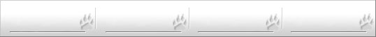 Grafik