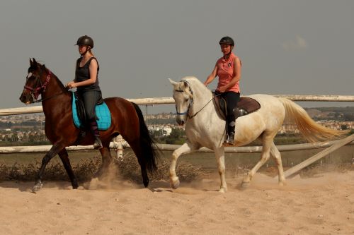 Reiten am Strand